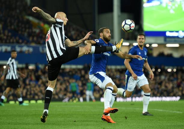 明确表达了 明确表达了