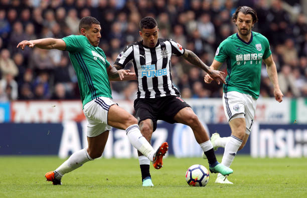 展现了生命 展现了生命